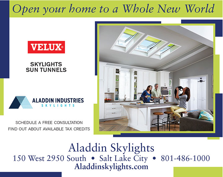 Aladdin Industies Skylights